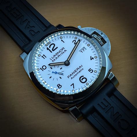 pamguard panerai|More.